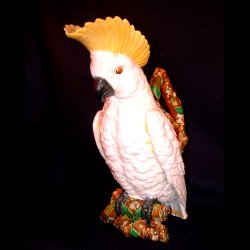 brwonfield majolica pitcher 